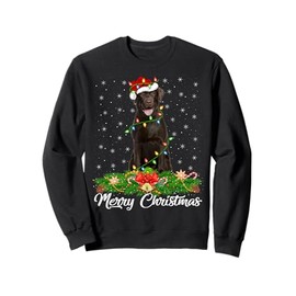 Xmas Lighting Decor Santa Labrador Retriever Dog Christmas Sweatshirt