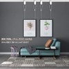 DFsucces Picture Rail Hooks, Wire Hooks, Hanging Hardware, Picture Hanger