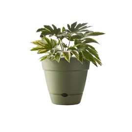 Northcote Pottery Leonard Self-Watering Pot, 20 x 18 cm Size, Green
