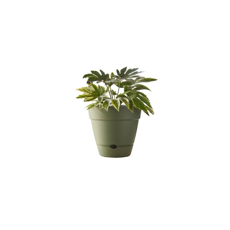 Northcote Pottery Leonard Self-Watering Pot, 20 x 18 cm Size,