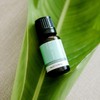 ECO. Modern Essentials Detox Essential Oil Blend, 10ml