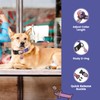 Pawview Dog Collar with Smart QR Code ID Tag –