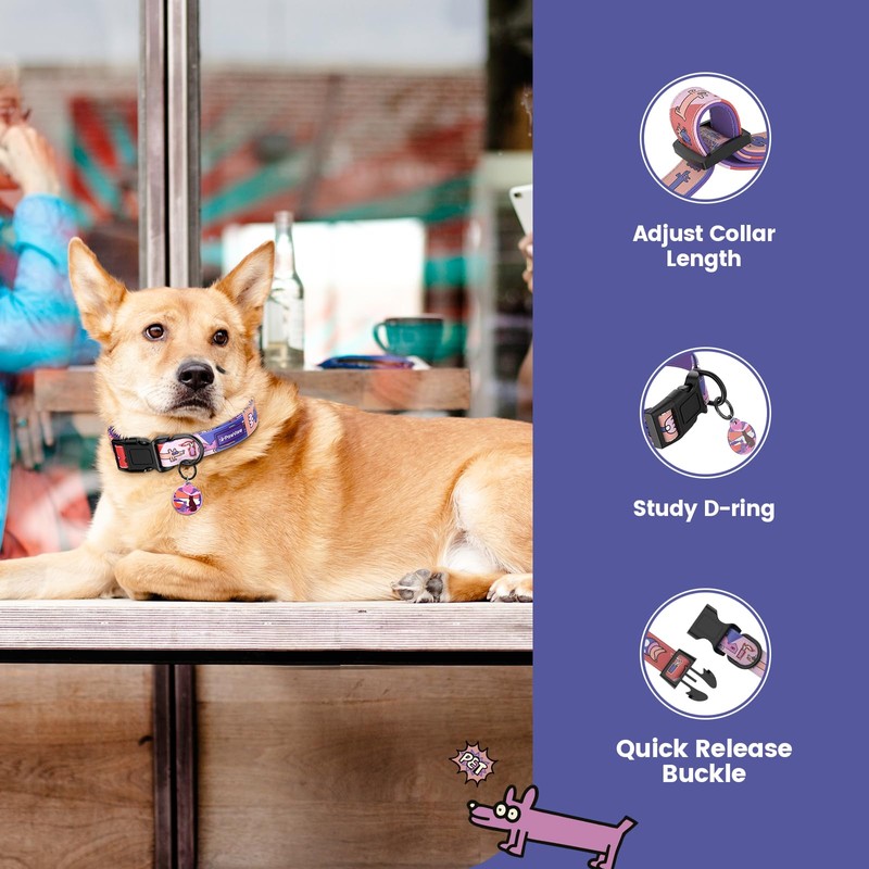 Pawview Dog Collar with Smart QR Code ID Tag –
