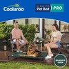 Coolaroo Pro Elevated Dog Bed - Low-Profile Access, Moisture-Resistant Cover,