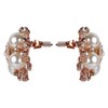 ASHI'S Collection rounded stud ear-ring with exquisite crystal and pearl.