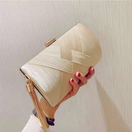 Stylish Women's Fringed Clutch Purse - Elegant Evening Bag for Parties, Weddings, and Events (Champagne)