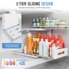 Biboraya 2 Pack 18 IN Depth Under Sink Organizer with