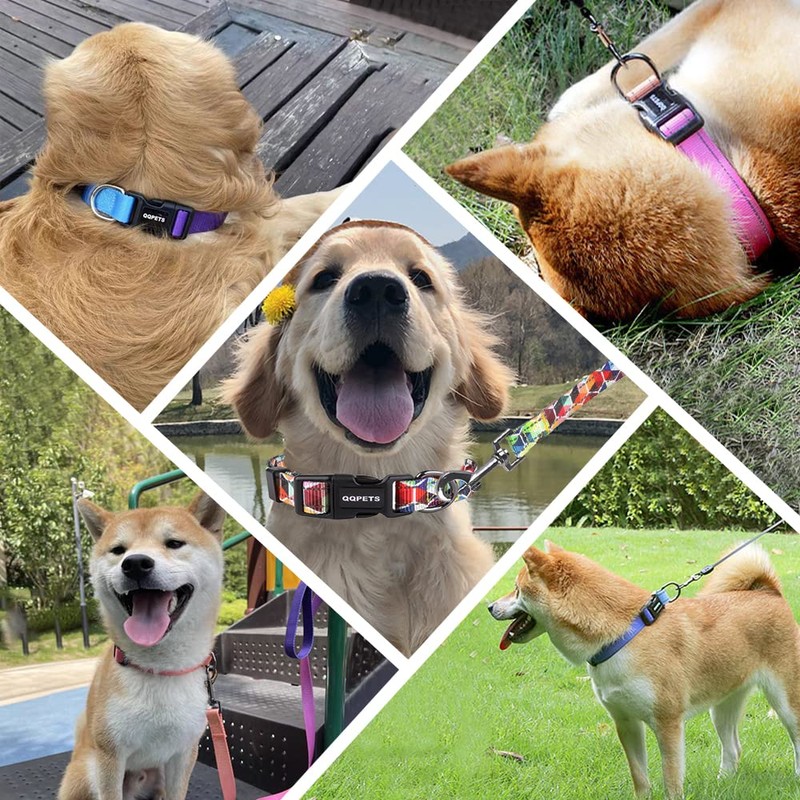 Petilet 犬 リード&首輪 犬の首輪リード 小型中型大型犬用首輪 おしゃれ 調節できる首輪 反射 伸縮 ハーネス