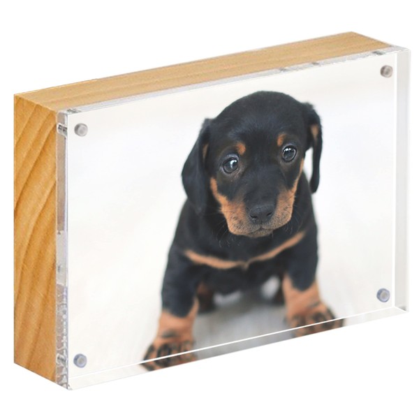 Canetti Design Group The Original Acrylic Museum Magnet 4x6 Frame