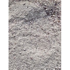 Lepidolite - 1mm and Smaller Powder - 100% Lepidolite Life+Love! Calm Clarity Ease! 1mmp (4 Ounces (1/4 Pound))