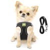 FEimaX Dog Harness and Leash Set, No-Pull Breathable Soft Mesh Escape Proof Cat Vest Reflective Adjustable Pet Outdoor Lightweight Harnesses for Small Medium Dogs Cats Rabbits