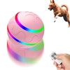 Interactive Dog Ball Toy