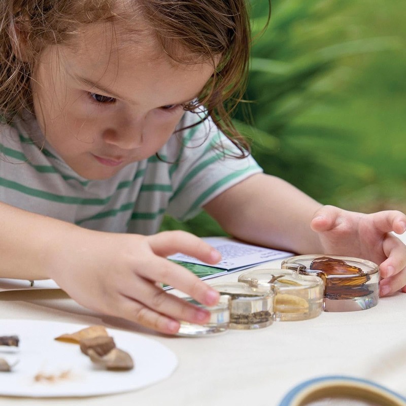 Kaplan Early Learning Specimen Life Cycle Puzzle - Butterfly