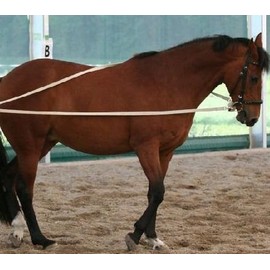 Long Reins Cotton Natural 2 x 4 m