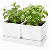 D'vine Dev Herb Garden Planter Set with Saucer, White, 76-Q-A-1