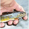 Hi-Look Microfiber Cleaning Cloth - Brook Trout