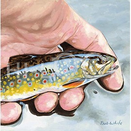 Hi-Look Microfiber Cleaning Cloth - Brook Trout