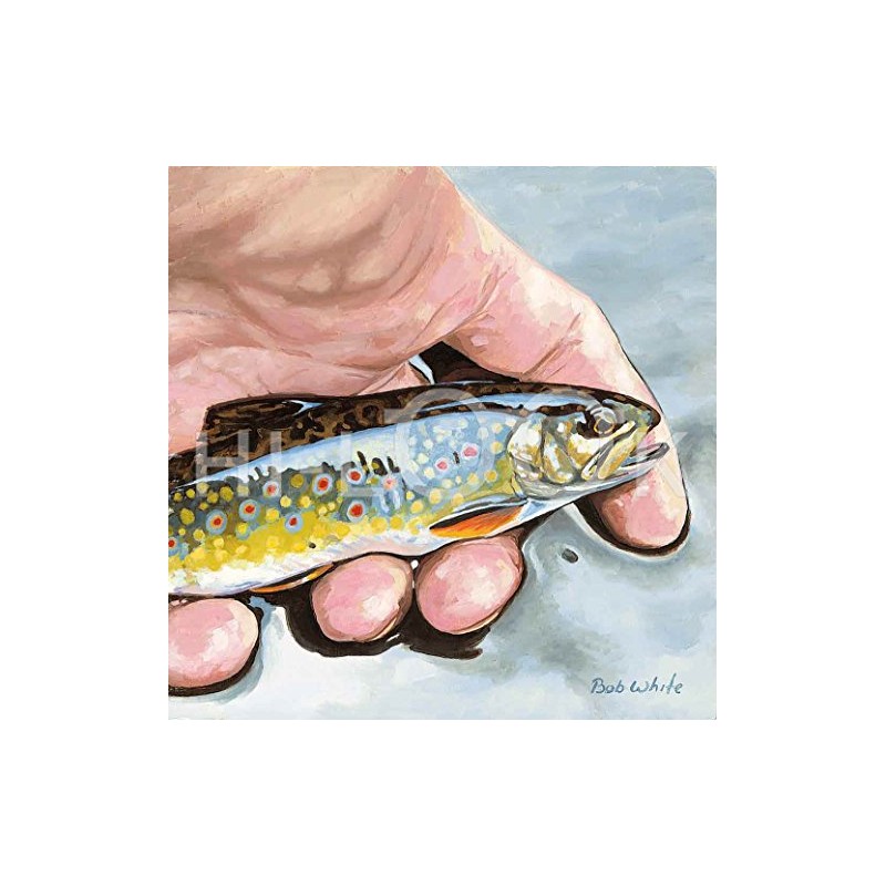 Hi-Look Microfiber Cleaning Cloth - Brook Trout