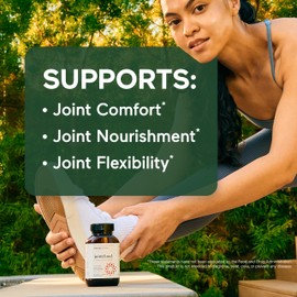 Smarter Joint Food - Nourishing Whole-Food Support for Lubrication, Mobility - Formulated with Collagen Type II, MSM, Vitamin C, Turmeric, Bromelain (Packaging May Vary – 30 Servings)