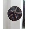 Sand Dollar Drawer Knob, Beach Cabinet Pull, Solid Metal, Oil