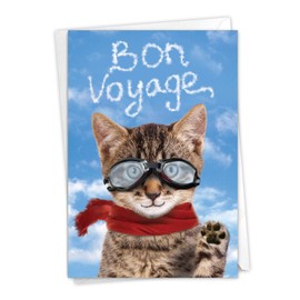 NobleWorks, Goodbye Cat - Funny Pet Animal Bon Voyage Greeting Card - Vacation, Trip Farewell Card with Envelope C6856BVG