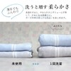 Imabari Gauze & Pile Face Towels, Set of 10, Bulk