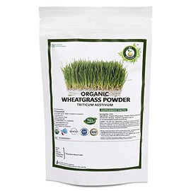 R V Essential Organic Wheatgrass Powder 200gm/ 7.05oz/ 0.44lb- Triticum Aestivum Wheat grass Powder USDA Organic Certified Ayurvedic Herbal Supplement in Resealable and Reusable Zip Lock Pouch