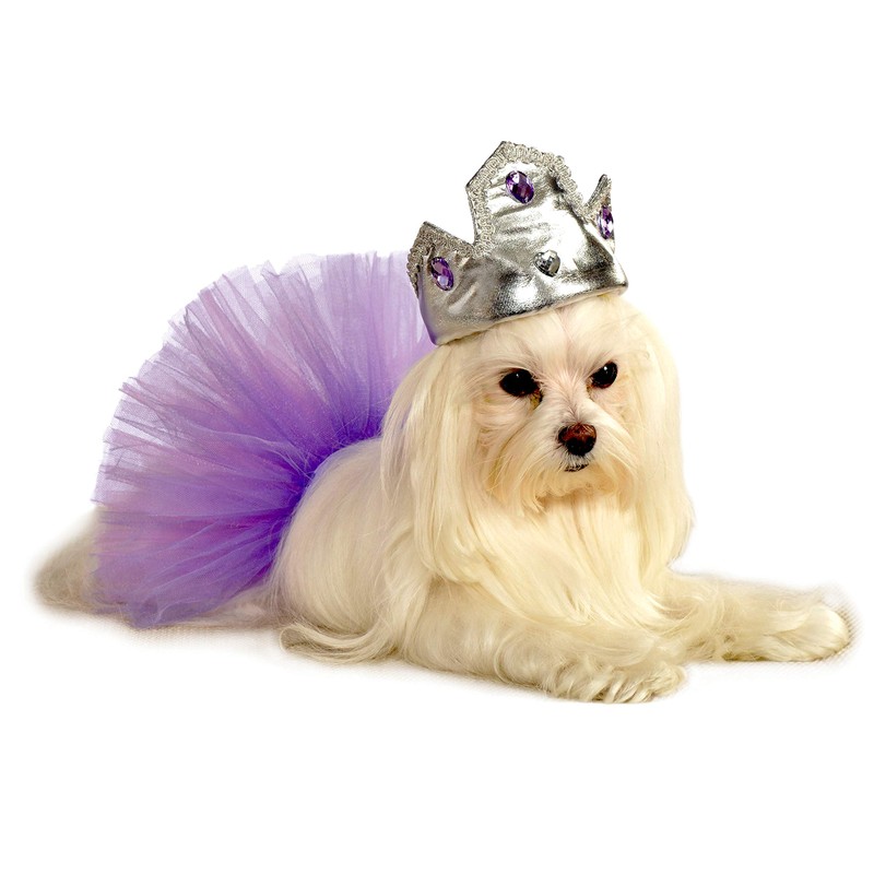 Rubies Silver Tiara with Purple Stones Pet Costume Accessory, Medium/Large