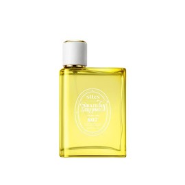 Sttes Perfume 602#（Irresistible Sunshine） - Eau De Perfume 100ml (3.4fl Oz)  vanilla Gourmet tune (Caramel vanilla flavor):_807