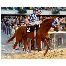 SECRETARIAT 8 X 10 PHOTO ~ HORSE RACING PICTURE Belmont Triple Crown