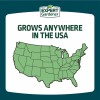 Expert Gardener Kwik Grass Seed Mix, for Sun to Partial