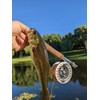 Kylebooker Fliegenfischrolle große Laube mit Aluminium-Körper Fliegenrolle (5/6wt,Silver)