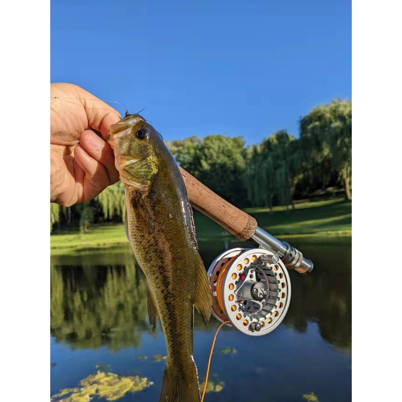 Kylebooker Fliegenfischrolle große Laube mit Aluminium-Körper Fliegenrolle (5/6wt,Silver)