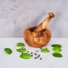 Mortar Height 6 cm Olive Wood Mortar Pestle Like Handle