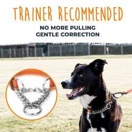 Mighty Paw Martingale collar de perro 2.0 | Entrenador aprobado collar de deslizamiento limitado con cadena de acero inoxidable y hebilla de alta resistencia. Modificado collar (naranja)