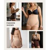 SHAPELLX Shapewear for Women Panties Tummy Control Underwear Bodyshaper Plus