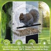 Jarkyfine Jarkyfine Window Bird Feeder - Clear Window Bird Feeders