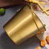 Mini Stainless Steel Pails Small Ice Bucket with Handle for