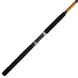 Ugly Stik Bigwater Conventional Fishing Rod