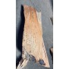 Ponderosa Pine Fatwood 2 lbs Sticks Better Than The Rest