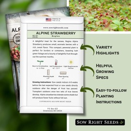 Sow Right Seeds - Regina Alpine Strawberry Seeds for Planting - Non-GMO Heirloom Packet with Instructions to Plant & Grow an Home Vegetable Garden - Bright Red Strawberry - Grows Early & Fast (1)