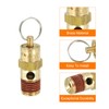 PATIKIL 1/4" Male NPT Safety Valve, Air Compressor Release Valve,