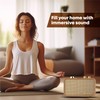 TRENBADER Retro Bluetooth Speaker, Wireless Speaker Walnut Wooden Am/Fm Radio