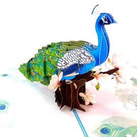 ForeverGiving Pop Up Cards – Peacock Pop Up Card – Pop Up Birthday Card – 3D Cards – Mothers Day Pop Up Card – Pop Out Cards - Pop Up Greeting Cards – 3D Birthday Cards - Surprise Your Loved One
