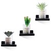 NIUBEST Small Floating Shelf, Set of 3 Black Shelf for