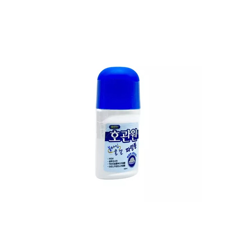 Alsu-eobseum 바르는 호관원 볼타입 쿨겔 파랑통 100ml 10개 쿨링 스포츠