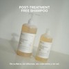 ARUAL FREE SHAMPOO 1L