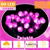 Pink Valentine's Day Fairy Theme Lights, 20 ft 60 LED