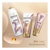 Shampoo Pantene Pro-V Miracles Nutre & Revitaliza 300 ml