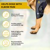AGON Dog Elbow Brace for Elbow Support – Adjustable Hinge
